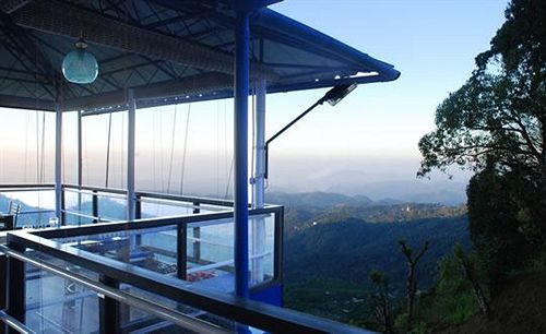 Hotel Holly Hock Resort 2