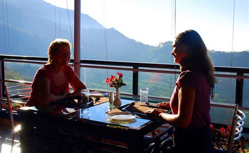 Hotel Holly Hock Resort 3