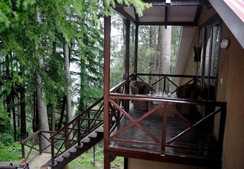 Resort Aamod Dalhousie Dalhousie