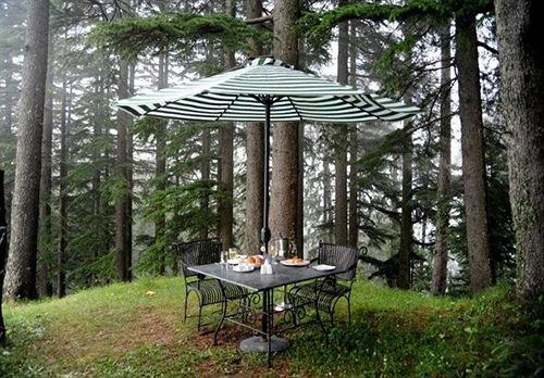 Resort Aamod Dalhousie 3