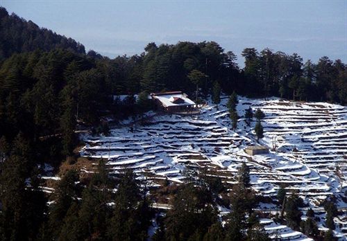 Resort Aamod Dalhousie 5