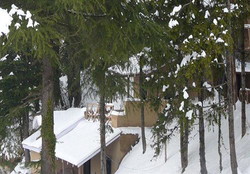 Resort Aamod Dalhousie 9