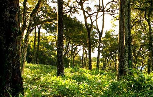 Hotel Mountain Trail Resort 1