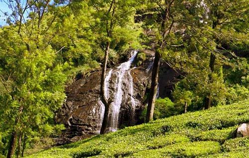 Hotel Mountain Trail Resort 2