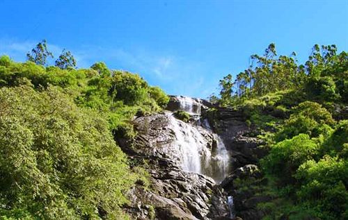 Hotel Mountain Trail Resort 3