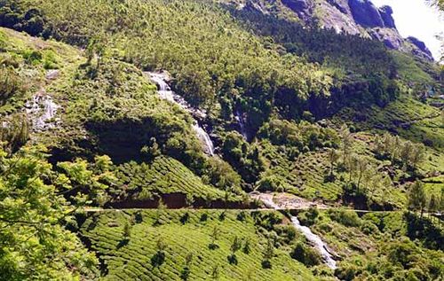 Hotel Mountain Trail Resort 4