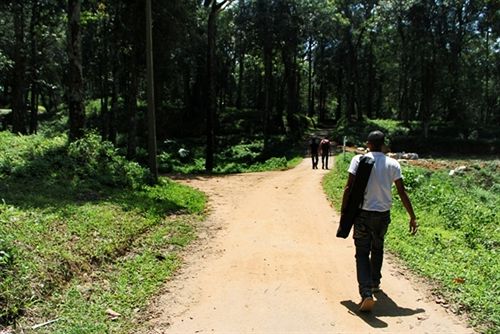 Hotel Deep Woods Resort 15