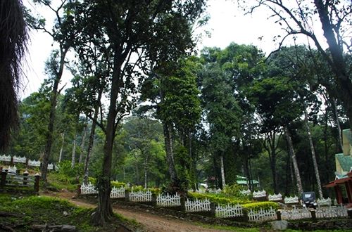 Hotel Deep Woods Resort 3