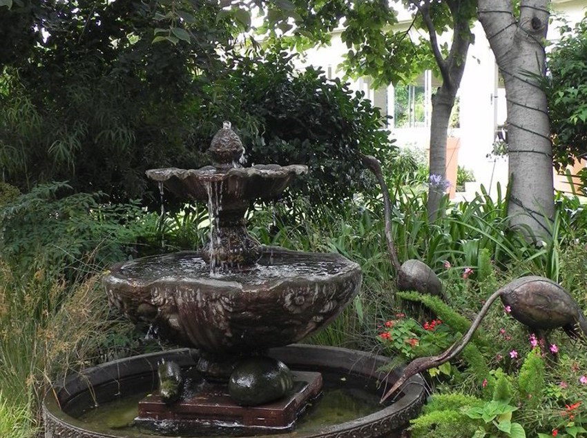 Hotel CedarWoods of Sandton 9