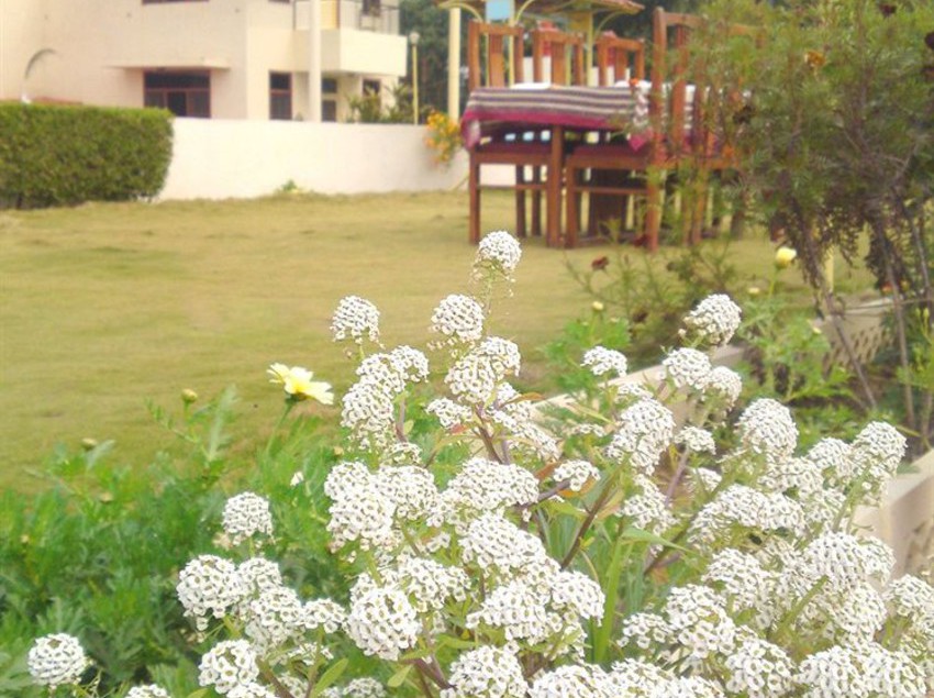 Hotel Swaraj Resorts 6