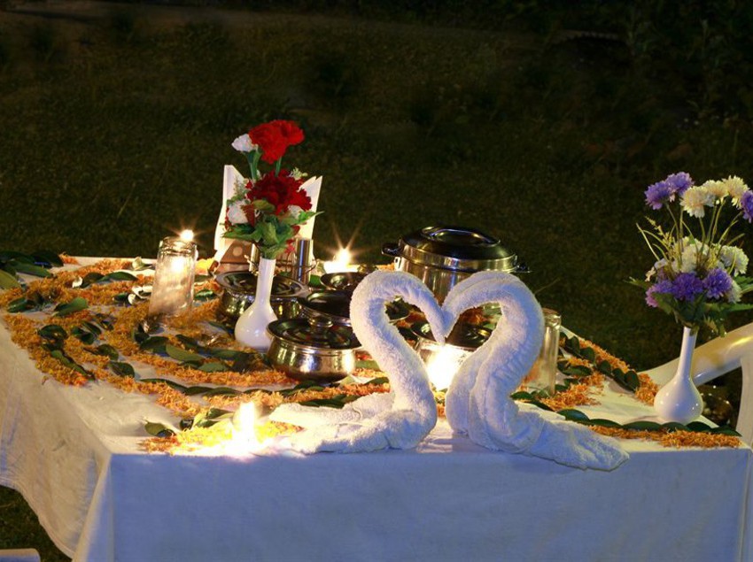 Hotel De Vivendi Resorts Manali 14