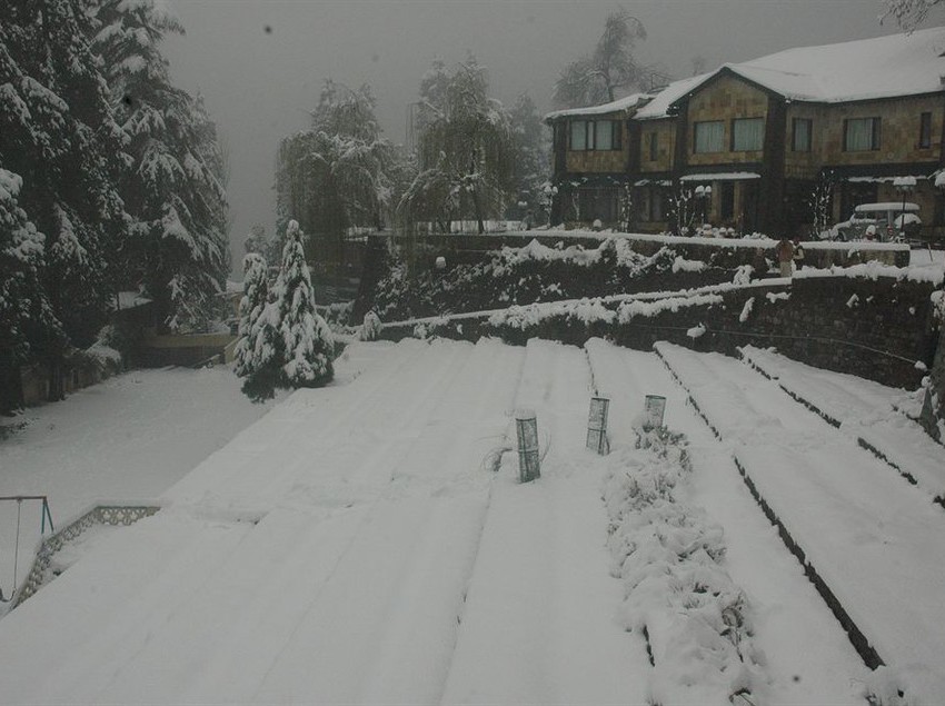 Hotel Shervani Hilltop 10