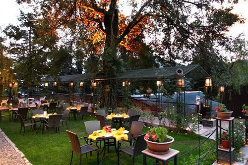 Hotel Shervani Hilltop 14