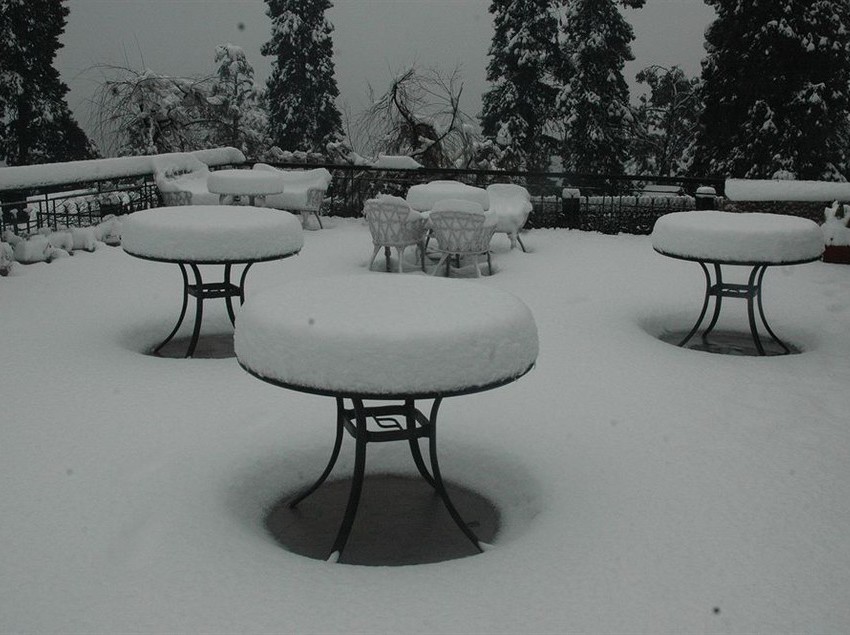 Hotel Shervani Hilltop 2