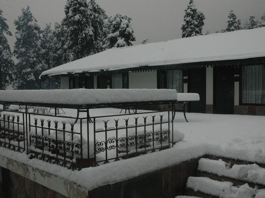 Hotel Shervani Hilltop 3