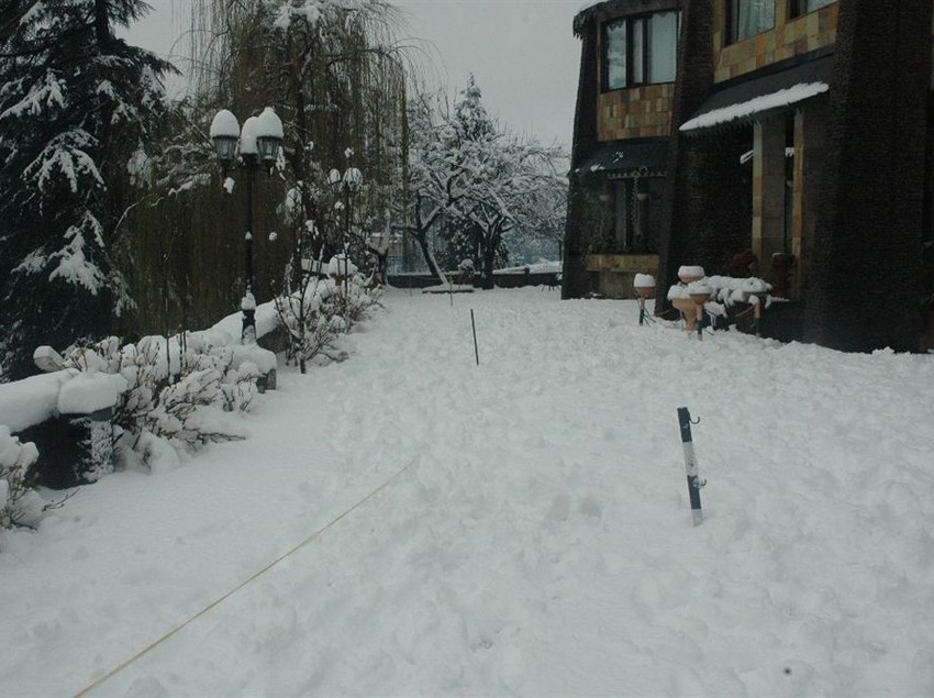 Hotel Shervani Hilltop 4