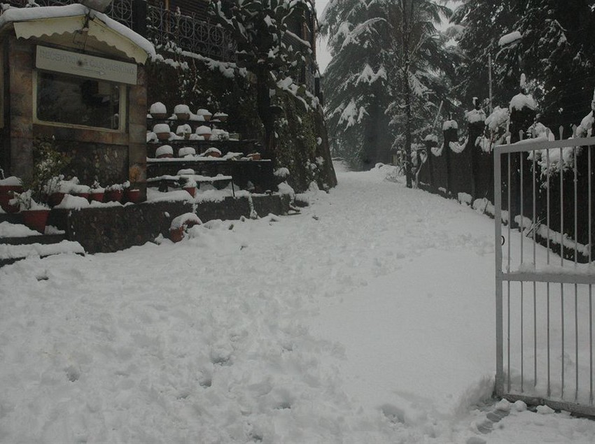 Hotel Shervani Hilltop 5