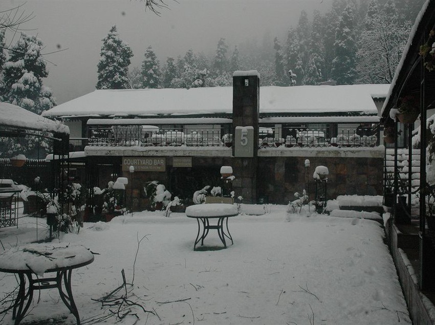 Hotel Shervani Hilltop 6