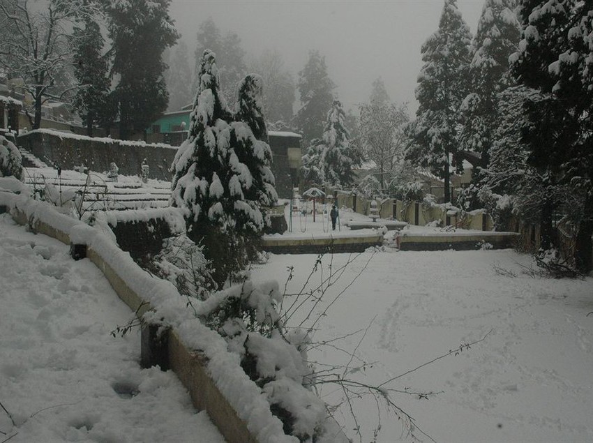 Hotel Shervani Hilltop 7