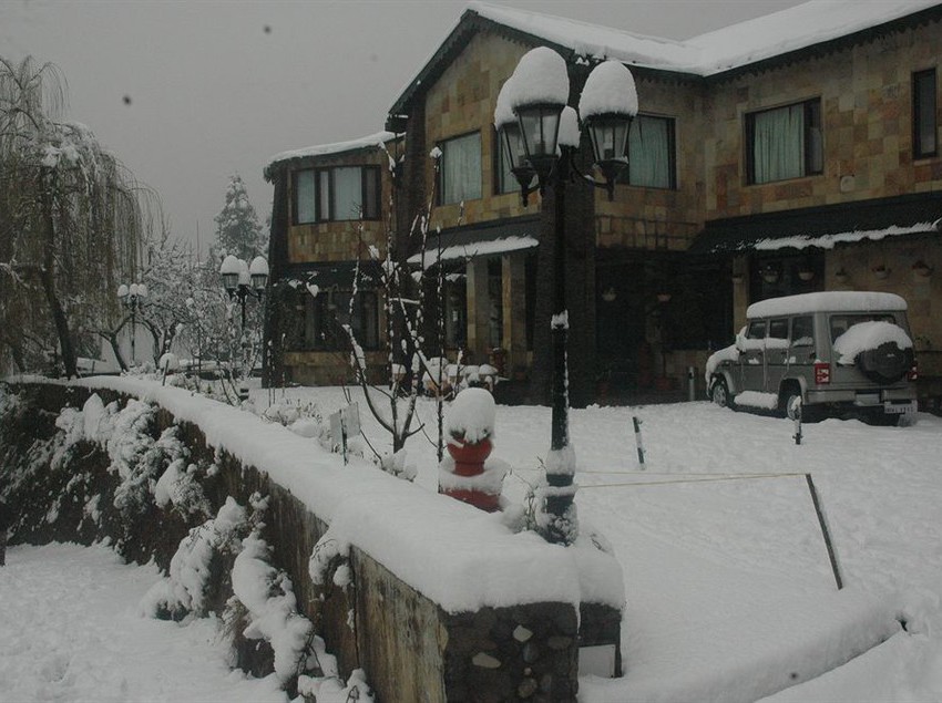 Hotel Shervani Hilltop 9