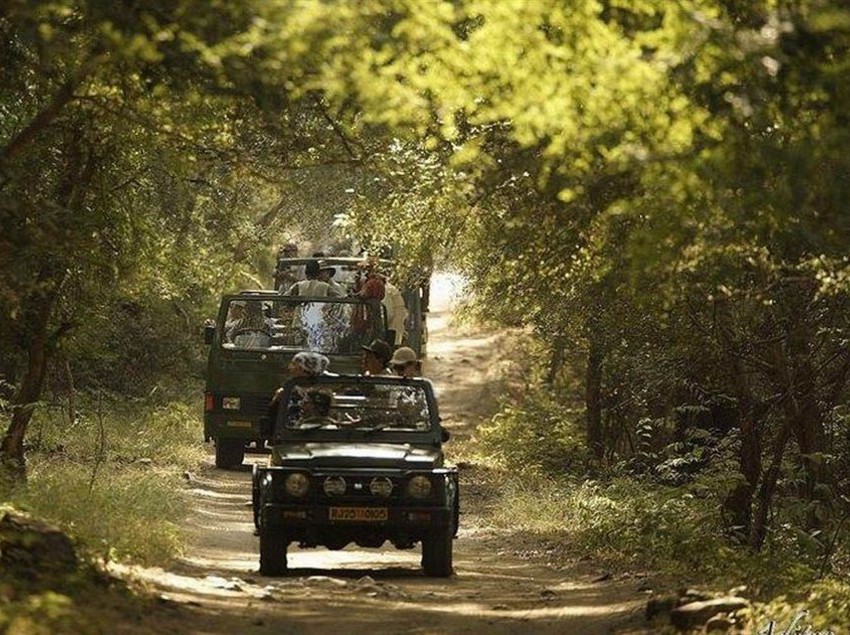 Hotel Ranthambore Forest Resort 1