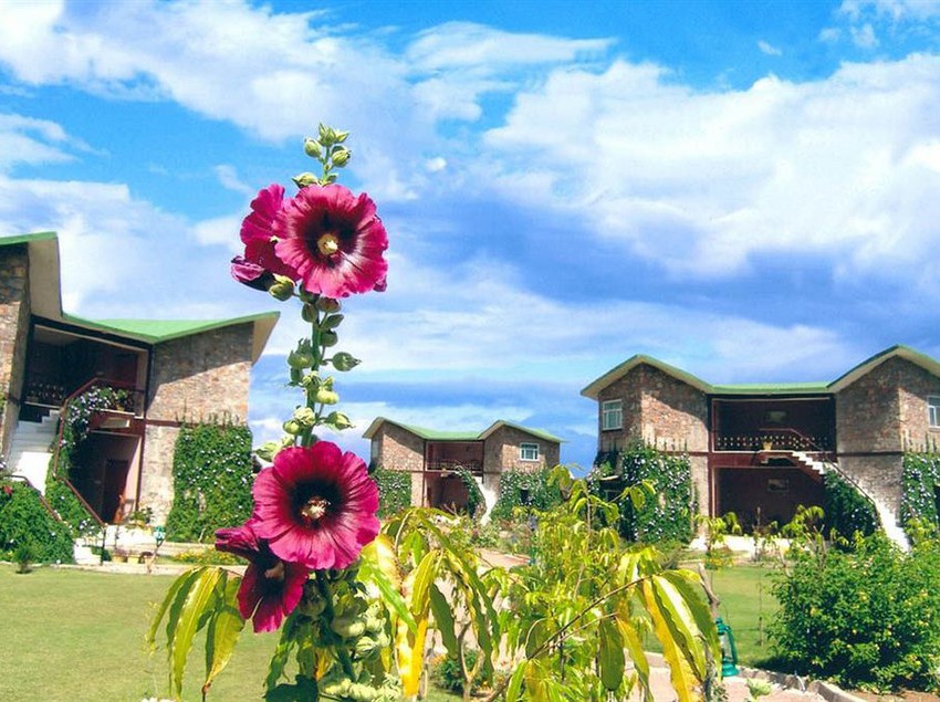 Hotel Ranthambore Forest Resort 11