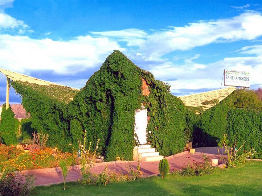 Hotel Ranthambore Forest Resort 5