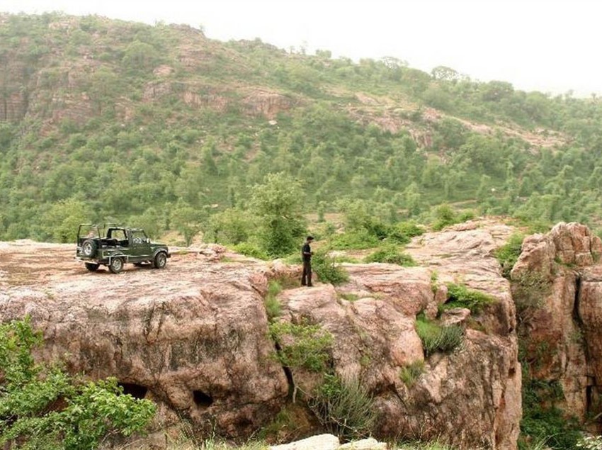 Hotel Ranthambore Forest Resort 8