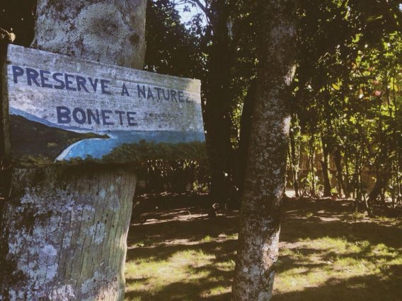 Sambaqui Hostel  | Ilhabela | São Paulo | Brasil 9