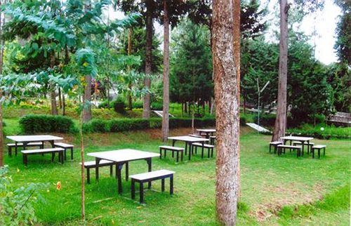 Hotel Green Acres Resort 2