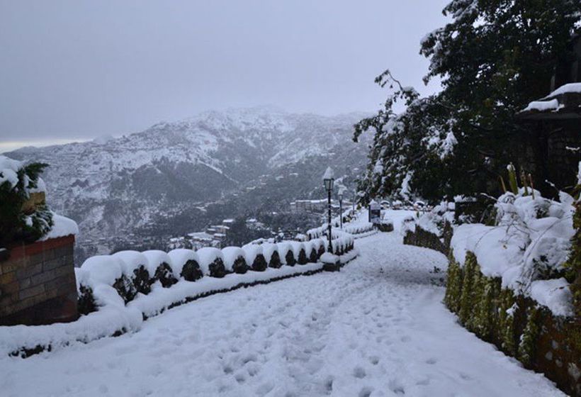 Royal Orchid Fort Resort 17