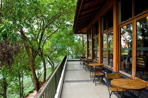 Hotel Tea Valley Resort 2