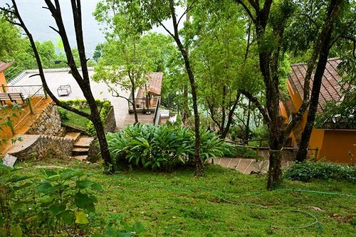 Hotel Tea Valley Resort 3