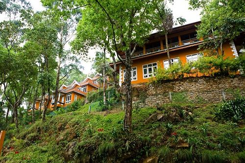 Hotel Tea Valley Resort 5