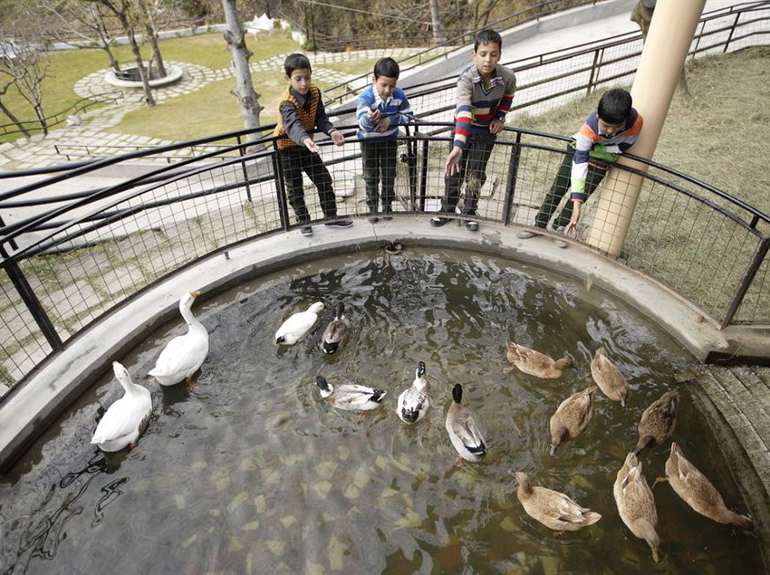 Resort Manu Allaya 5