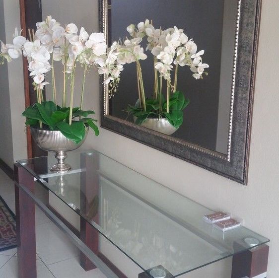 Pensione Belmont Guesthouse 1