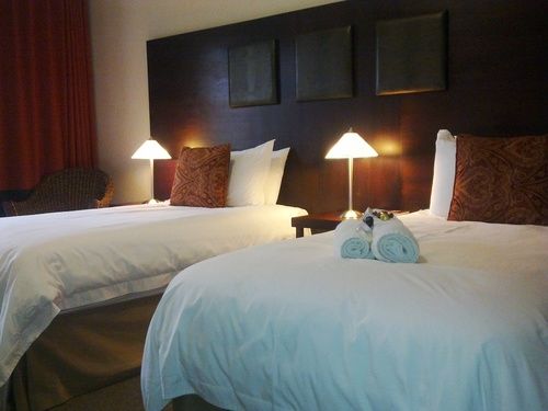 Pensione Belmont Guesthouse 5