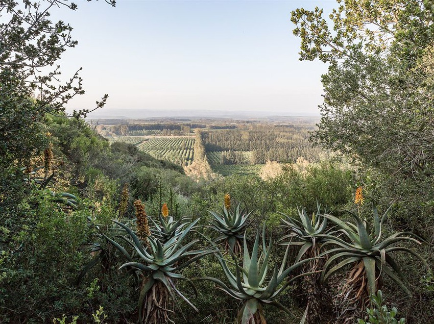 Hitgeheim Country Lodge 5