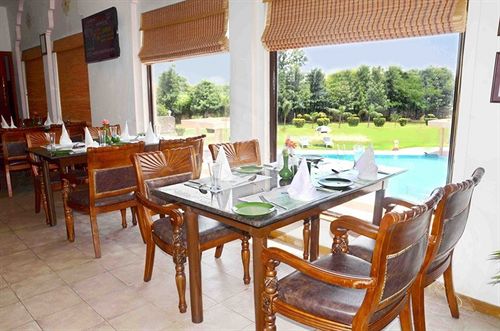 The Gold Palace & Resorts 10