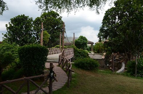 The Gold Palace & Resorts 5