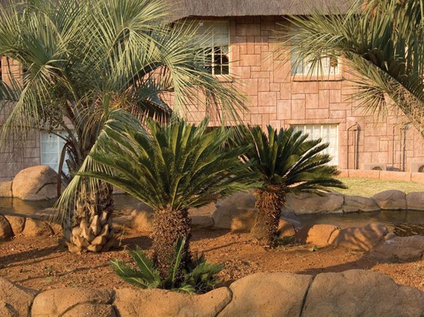 Hotel Zebra Country Lodge 3