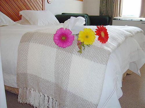 Hotel Stellenbosch Lodge 12