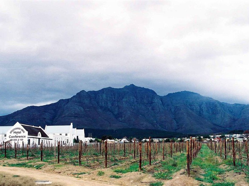 Hotel Stellenbosch Lodge 6