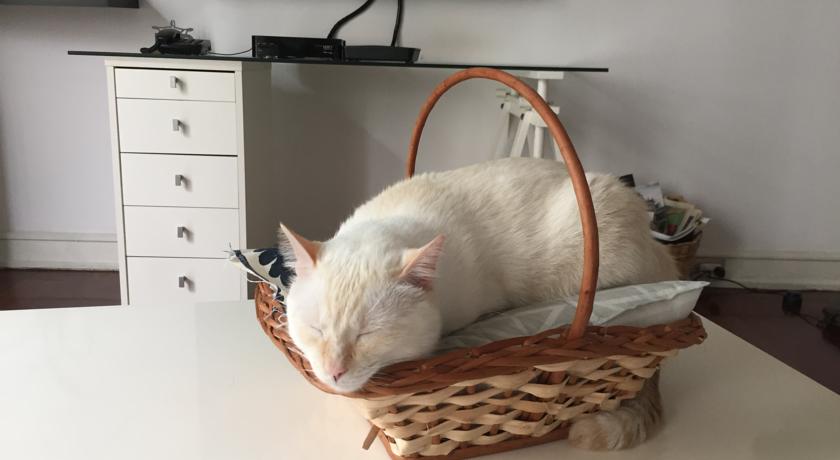 Bed and Breakfast Quartos Sem Saudade  | Rio de Janeiro | Rio de Janeiro | Brasil 1