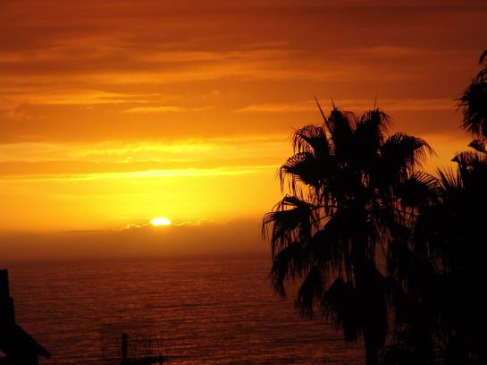 Hotel The Walden Suites