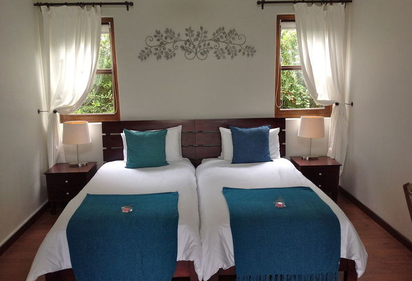 Pension Sixteen Guest House on Main 1