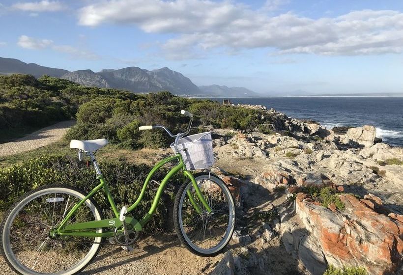 Pension Sixteen Guest House on Main 20