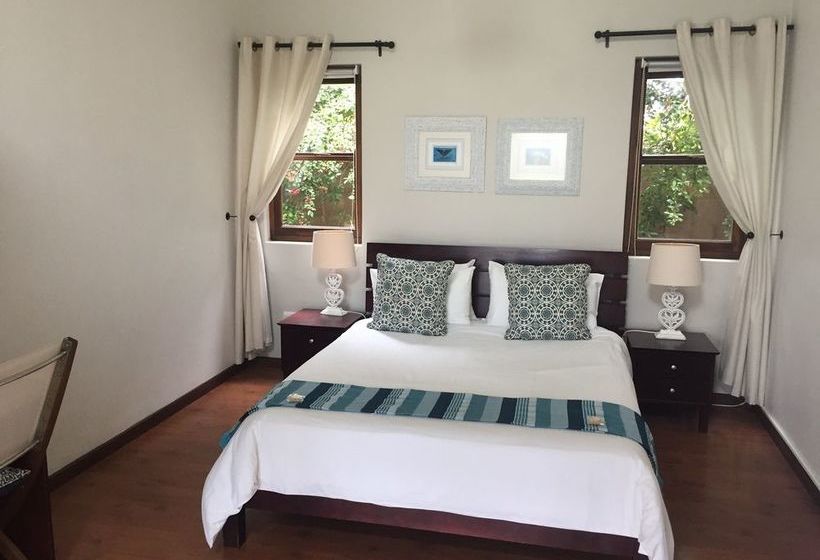 Pension Sixteen Guest House on Main 3