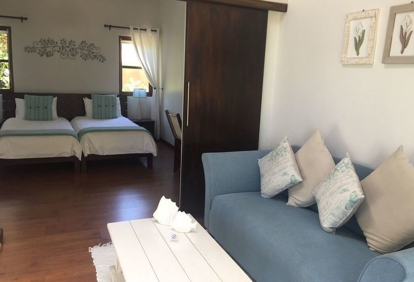 Pension Sixteen Guest House on Main 5