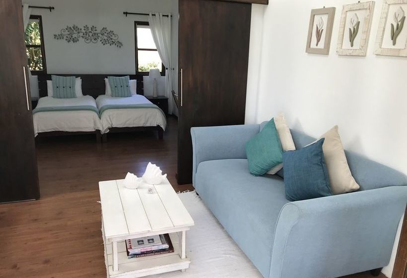 Pension Sixteen Guest House on Main 9